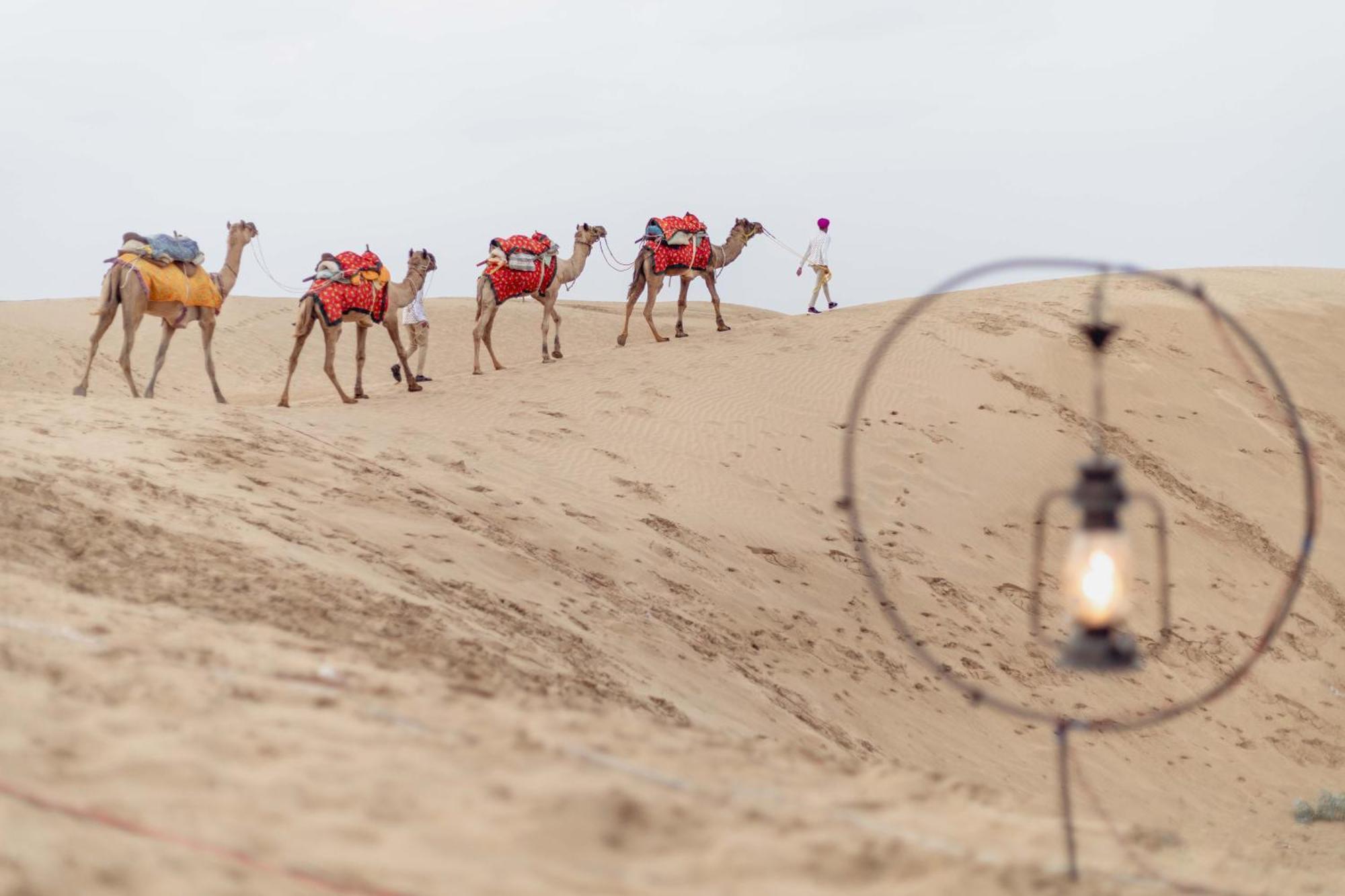 منتجع وسبا جيسلمر ماريوت جيلسامر المظهر الخارجي الصورة